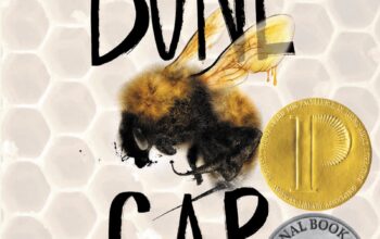 Book Review: “Bone Gap” by Laura Ruby