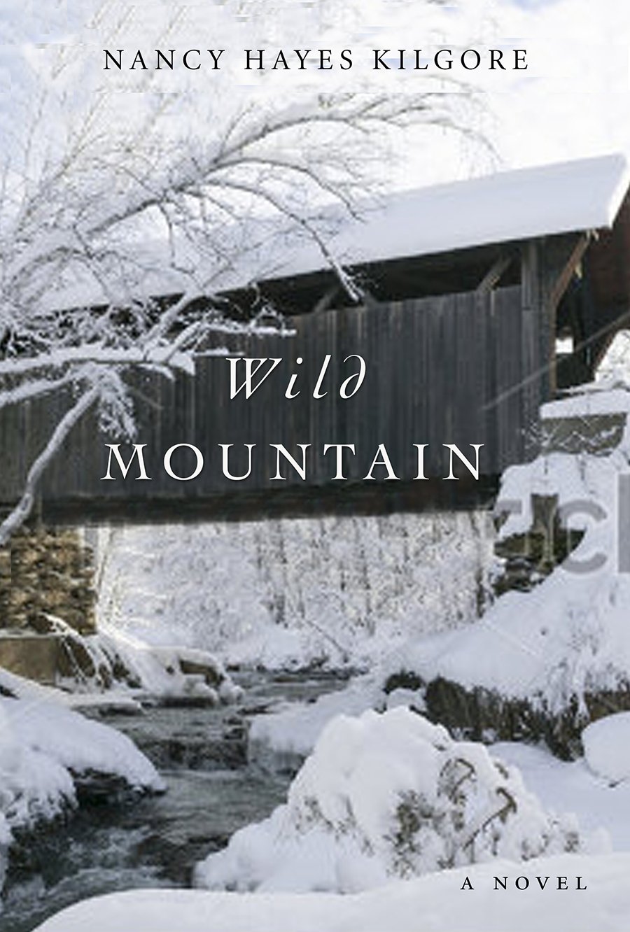 Book Review: “Wild Mountain” by Nancy Hayes Kilgore