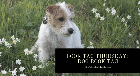 Book Tag Thursday: Dog Book Tag