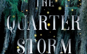 Book Review: “The Quarter Storm” by Veronica Henry