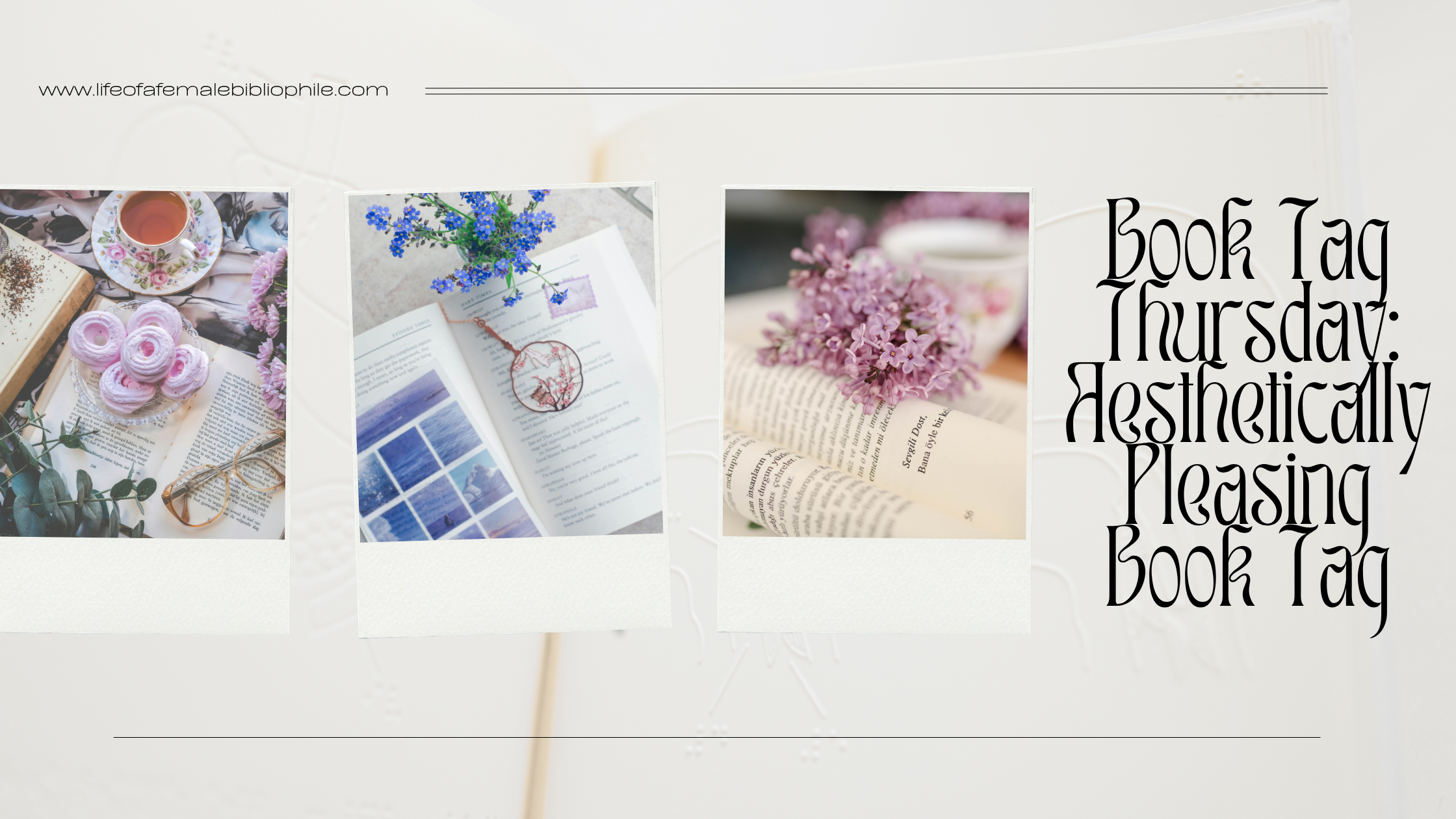 Book Tag Thursday: Aesthetically Pleasing Book Tag – Life of a Female ...